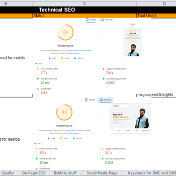 seo audit screenshort